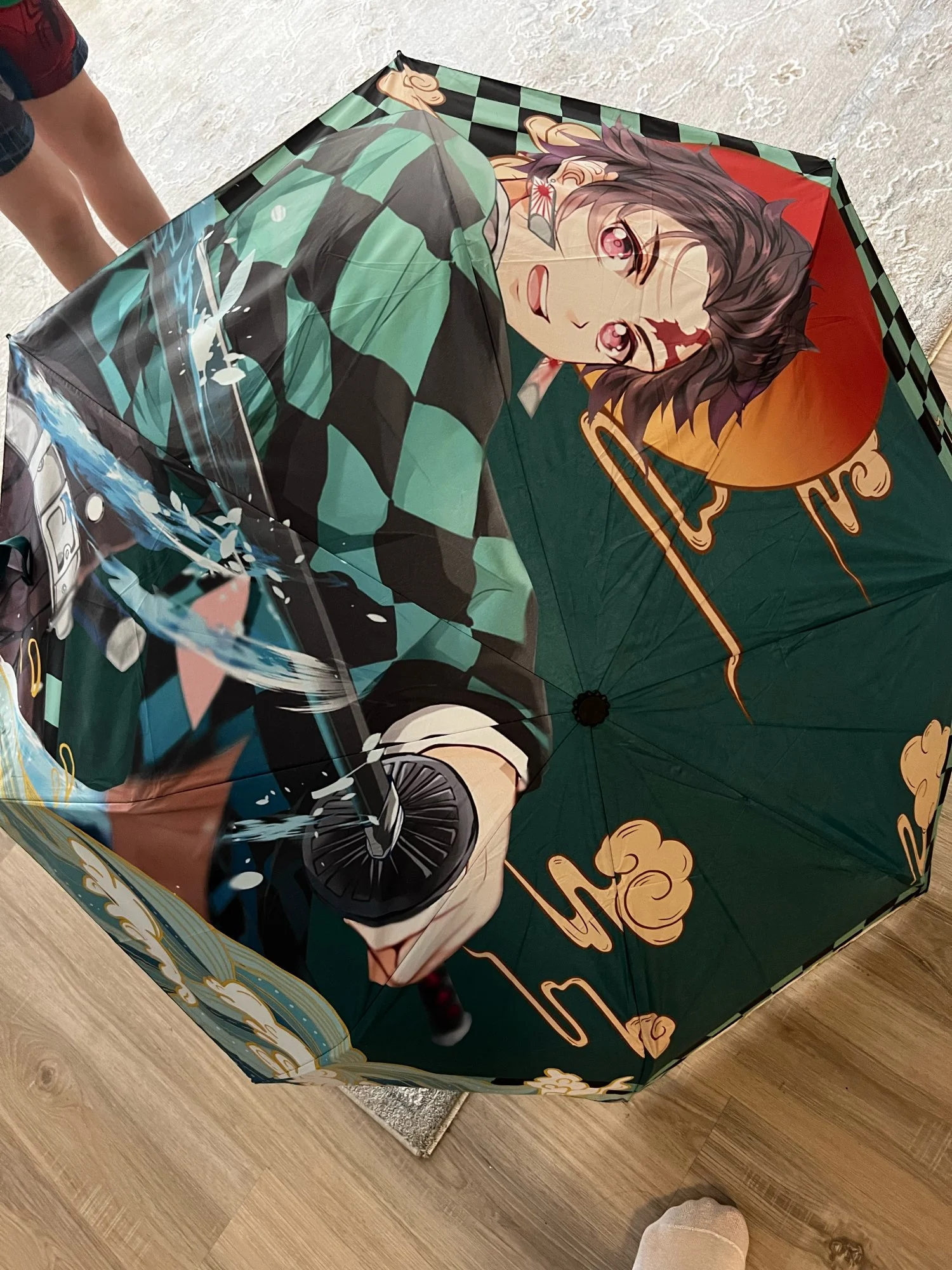 Demon Slayer: Kimetsu no Yaiba Shinobu & Giyu Sunshade