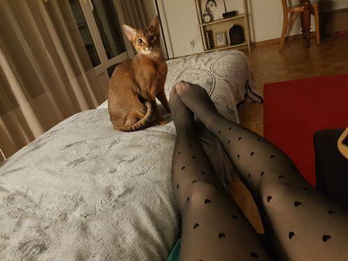 Collant coeur polaire