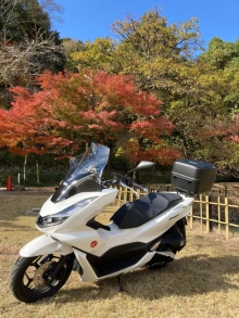 GIVI D1190ST ウインドスクリーン クリア／HONDA PCX 160 KF47