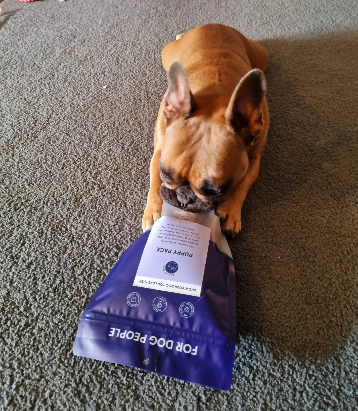Puppy Pack | K9 KATERING Dog Treats Australia — K9 Katering