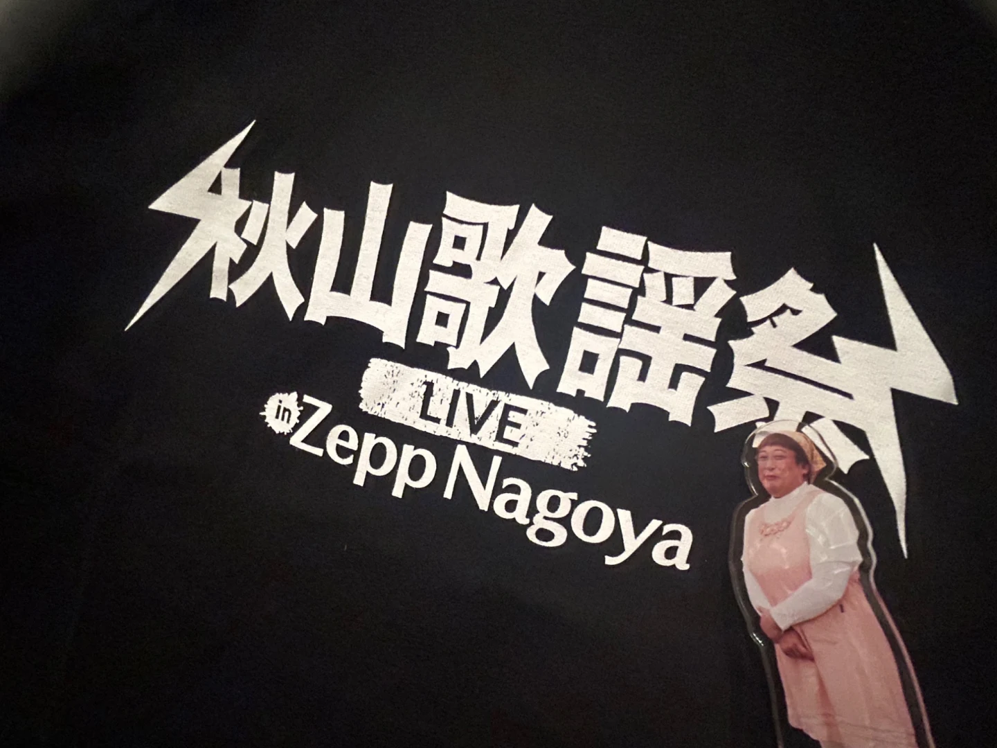 10月下旬順次発送予定】秋山歌謡祭ライブロゴTシャツ – 秋山歌謡