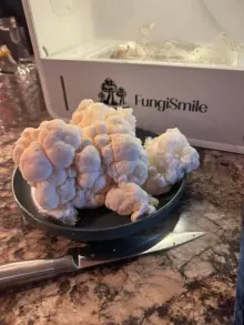 Customer photo