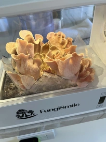 Customer photo