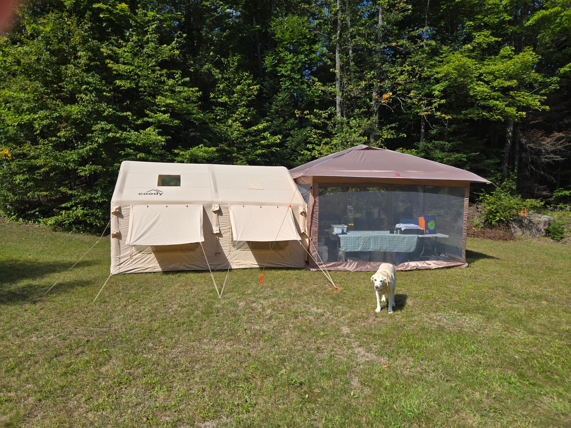 Coody 13.68 Inflatable Tent - Villa | Glamping in Any Season