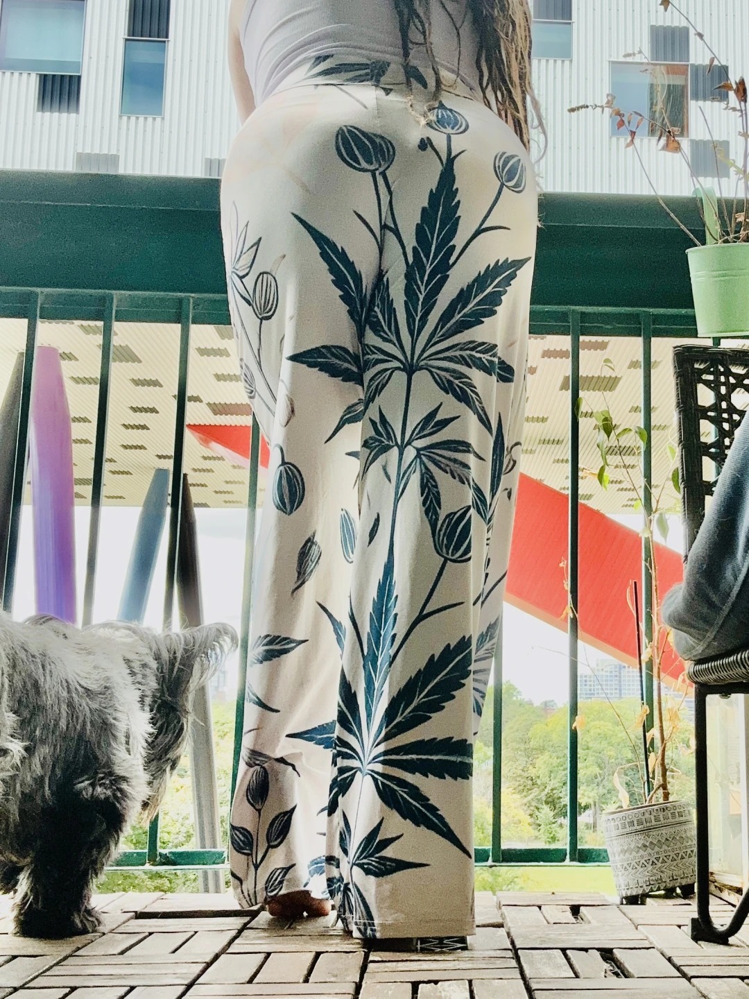 Soft Sativa Lounge Pants – JANE DOPE