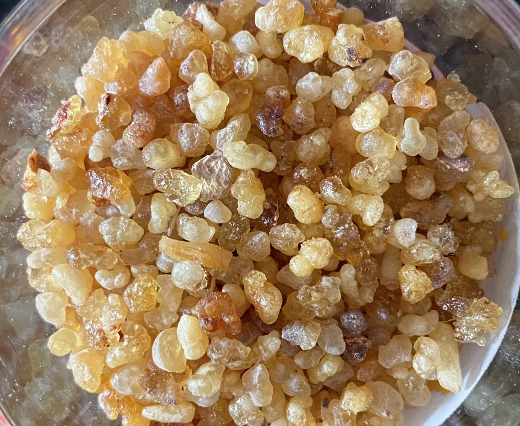 Encens En Grains Oliban (Boswellia Sacra) D'Oman - 250 Grammes - Neuf
