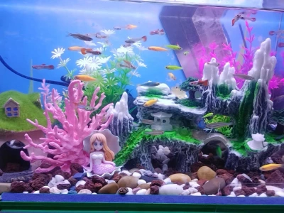 Customer aquarium review photo