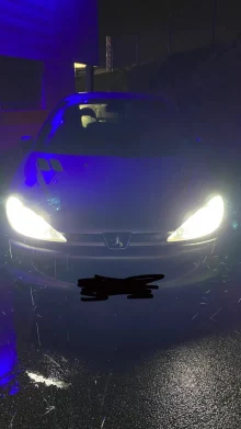 Foto del cliente Edoardo — Lampadine Led Peugeot