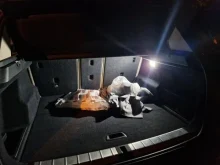 Foto del cliente Stefano — Luci Led Sottoporta, cassetto porta oggetti e portabagagli Bmw
