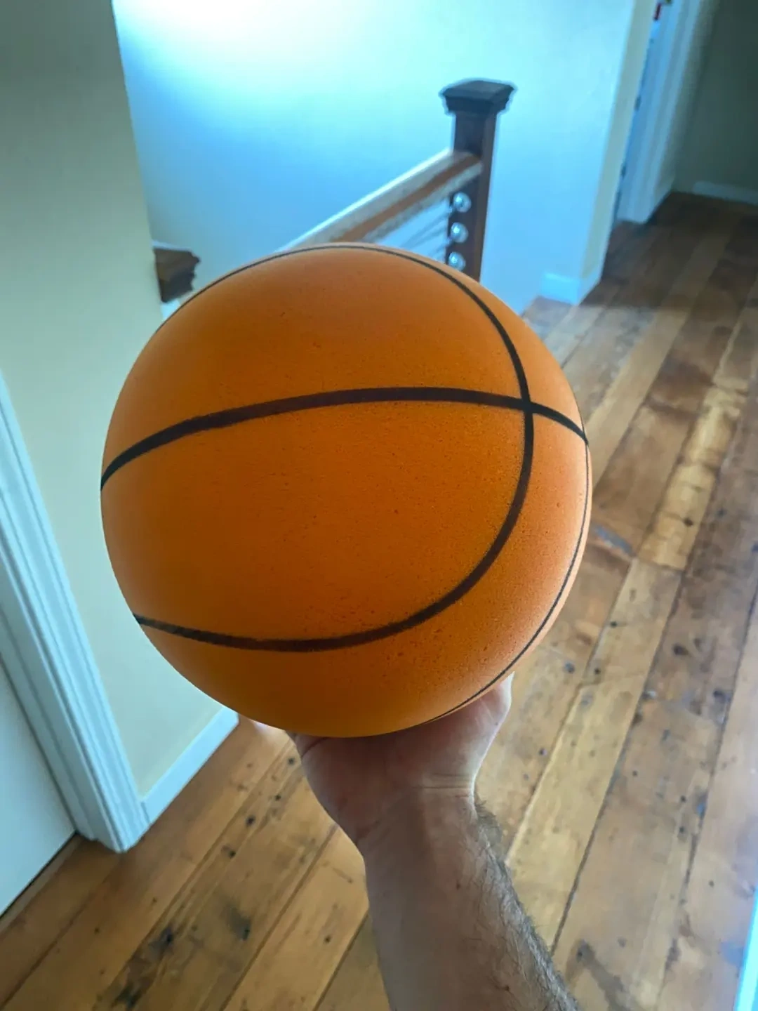 The Original Silent Basketball 2.0