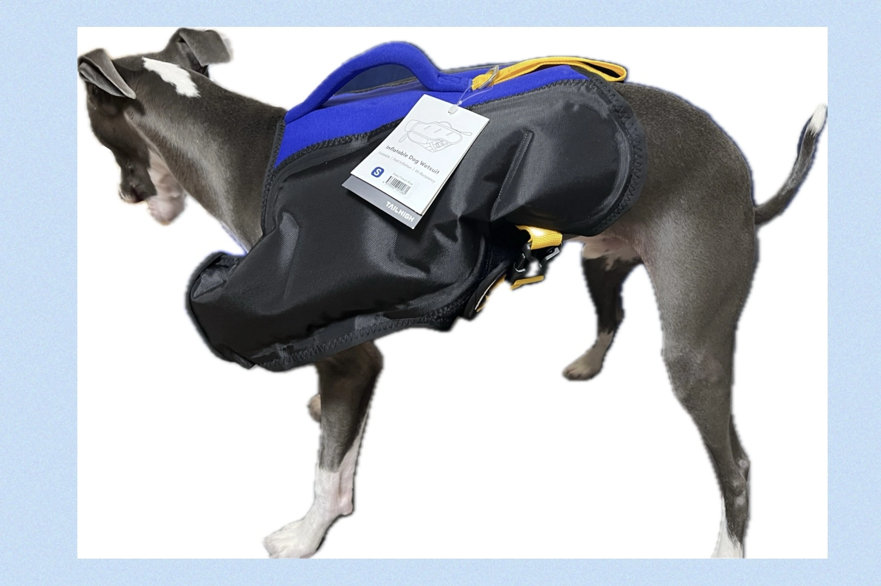 ライフジャケット Inflatable Wetsuit – TAILHIGH