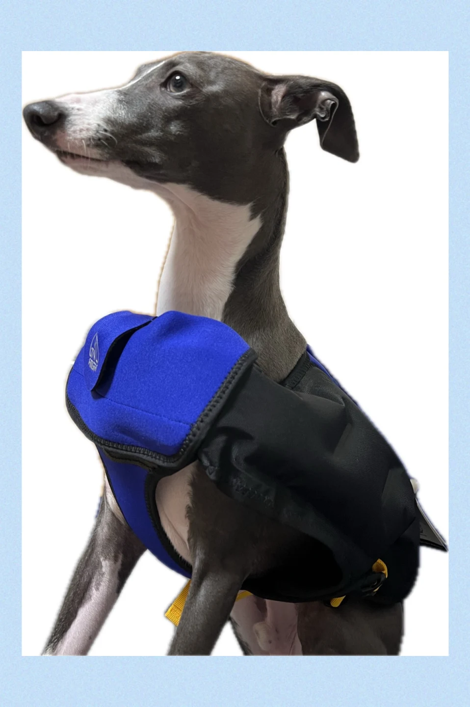 ライフジャケット Inflatable Wetsuit – TAILHIGH