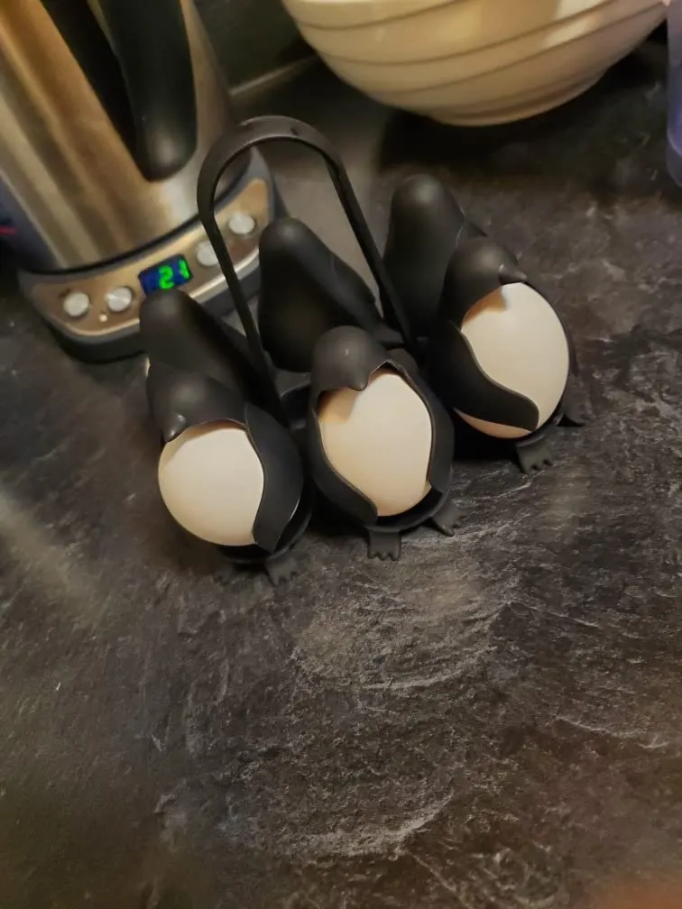 Penguin Egg Boiler - Cop it all