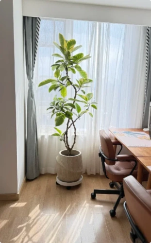 Customer review photo from István K.