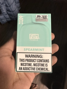 mint flum pebble Cool Mint FLUM Pebble
