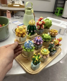 FEIMI™ The Potted Plants Building Blocks（Free Display rack）
