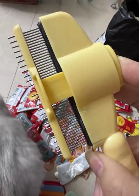 Cat being brushed