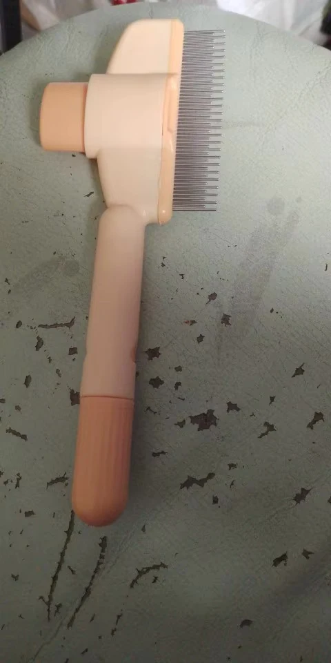 Cat being brushed