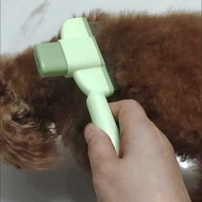 Cat being brushed