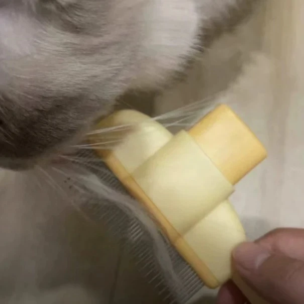 Hand holding brush with fur