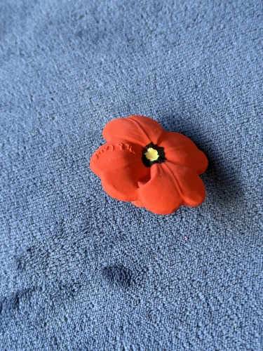 Pop the Poppy Mini Baby Teether | Oli&Carol