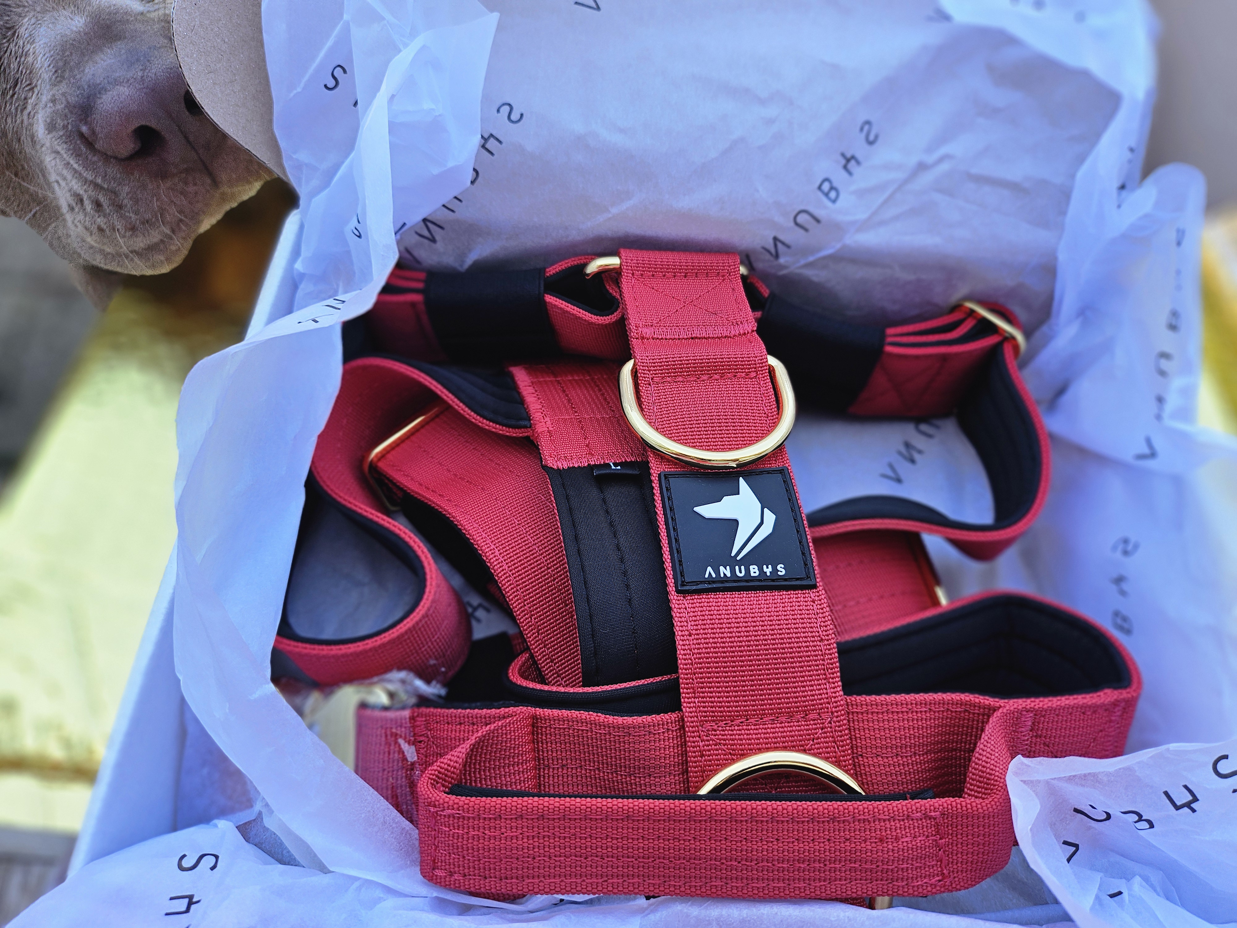 Tactical Harness Anti Pull Design Red