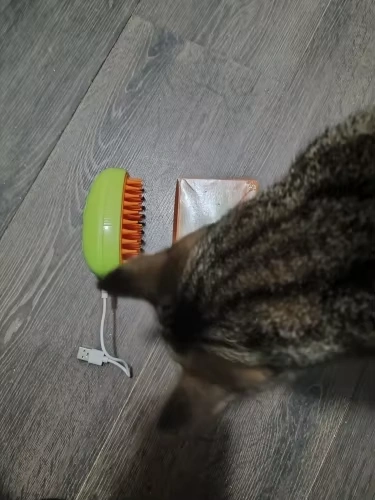 Foto de reseña de Dairon L. V.