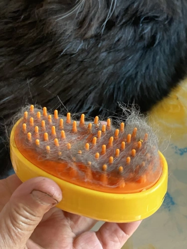 Foto de reseña de Mauricio N.