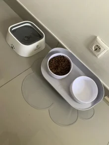 Sofía