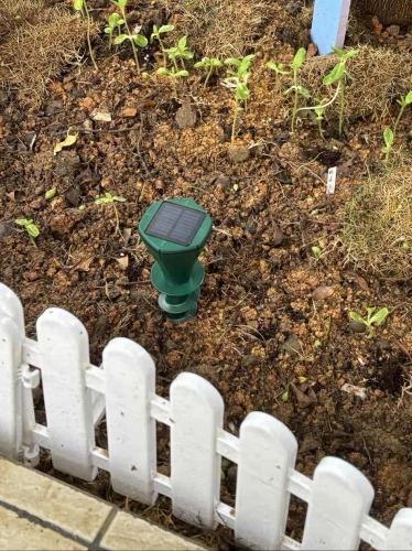 garden solar repeller