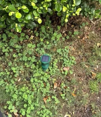 garden solar repeller