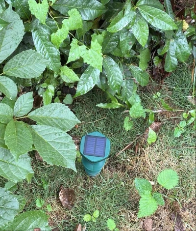 garden solar repeller