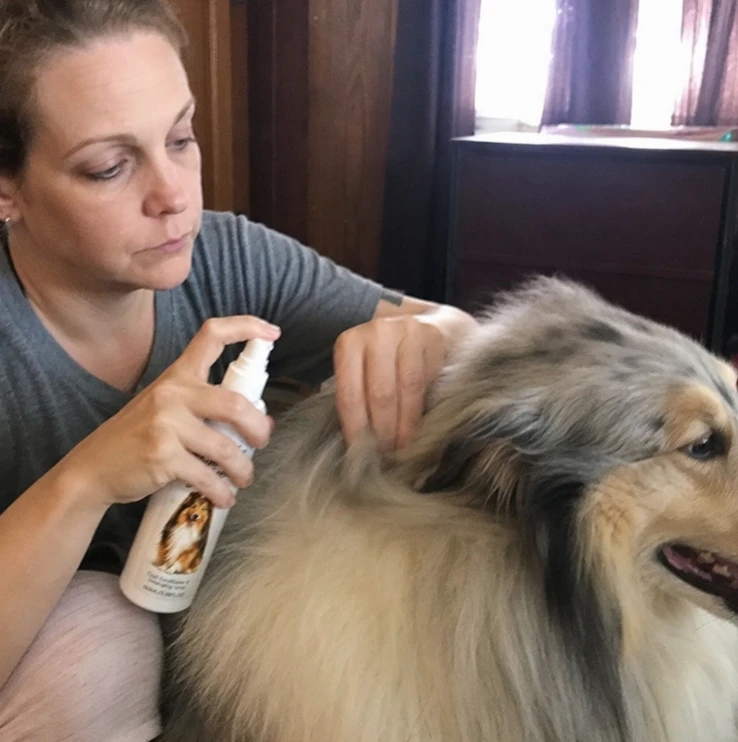 Pet coat care photo shared by Andrea B.