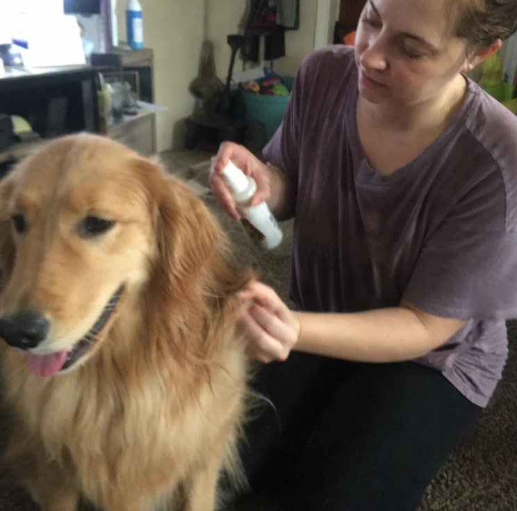 Pet coat care photo shared by Kitty M.