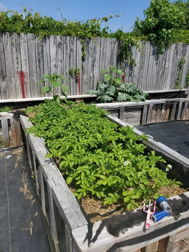 Customer review photo
