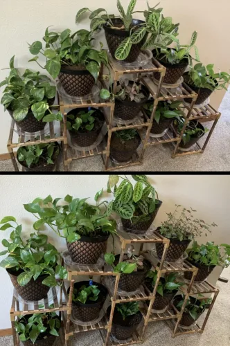 Customer review photo