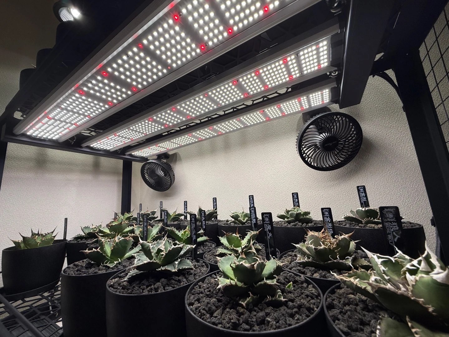 LED Grow Light GL45シリーズ 植物育成ライト 400W 36cmモデルに比べて