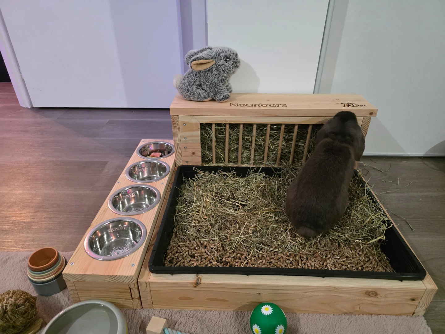 Paillasson Durable Avec Imprimé Cochon D'Inde Mignon - Paillasson