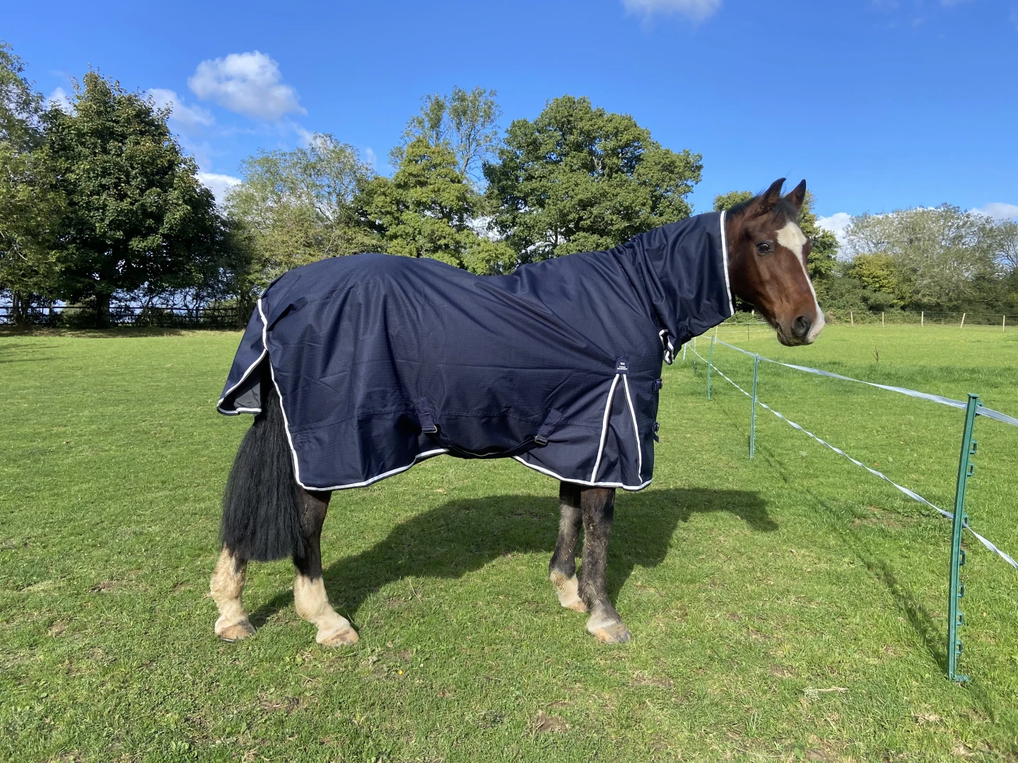 Tappeto Cavallo Leggero Affluenza 600D Resistente All'acqua - Foto 5